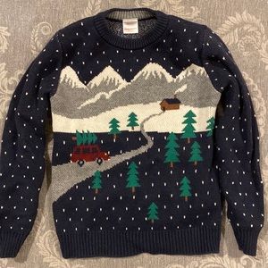Beautiful winter wonderland holiday Hanna Andersson sweater 120cm US 6-7
